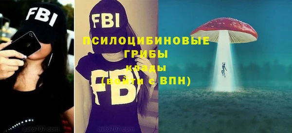 а пвп мука Алзамай