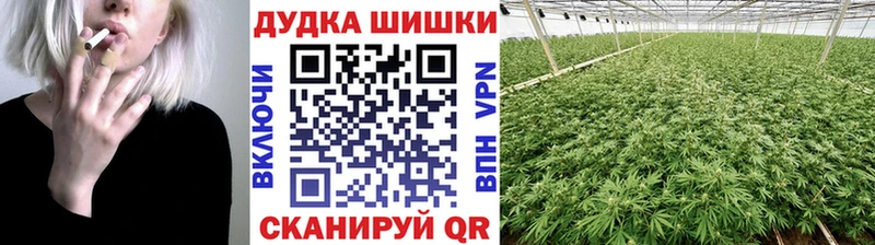 Конопля марихуана Тутаев